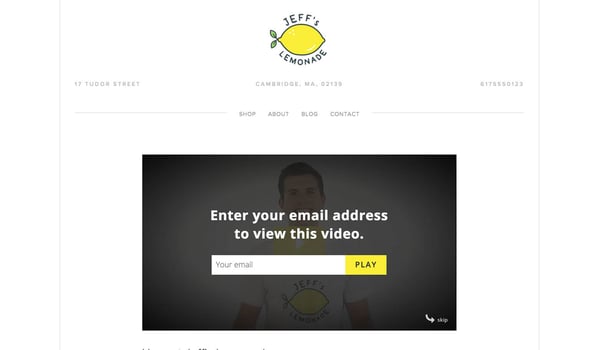 Wistia collect-emails